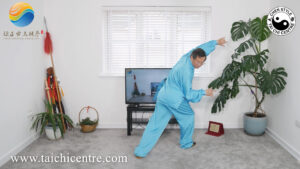 5 Animal Qigong Download Video Clips by Master Liming Yue