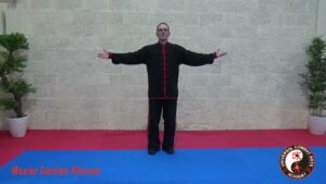 Qigong Foundation by Damian