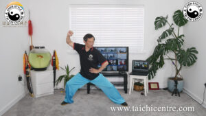 Laojia Seminar first two parts video clips by Master Liming Yue