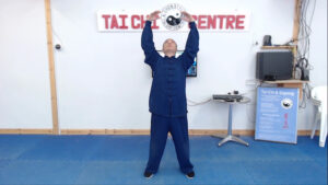 Qigong Foundation - Jamal Alek