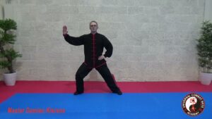 Tai Chi 11 Form by Damian