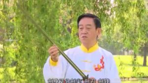Chen Zhenglei 18 Sword Form - Download