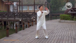 Tai Chi Laojia download - Liming Yue